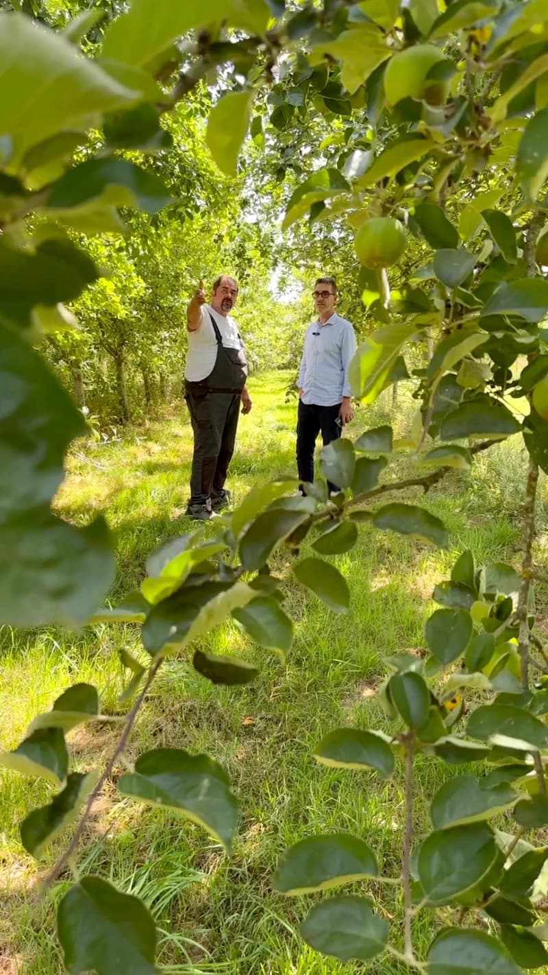 Cyrille Filleul, producteur de cidre fermier et de lapins, Vieux-Viel, Île-et-Vilaine (35)