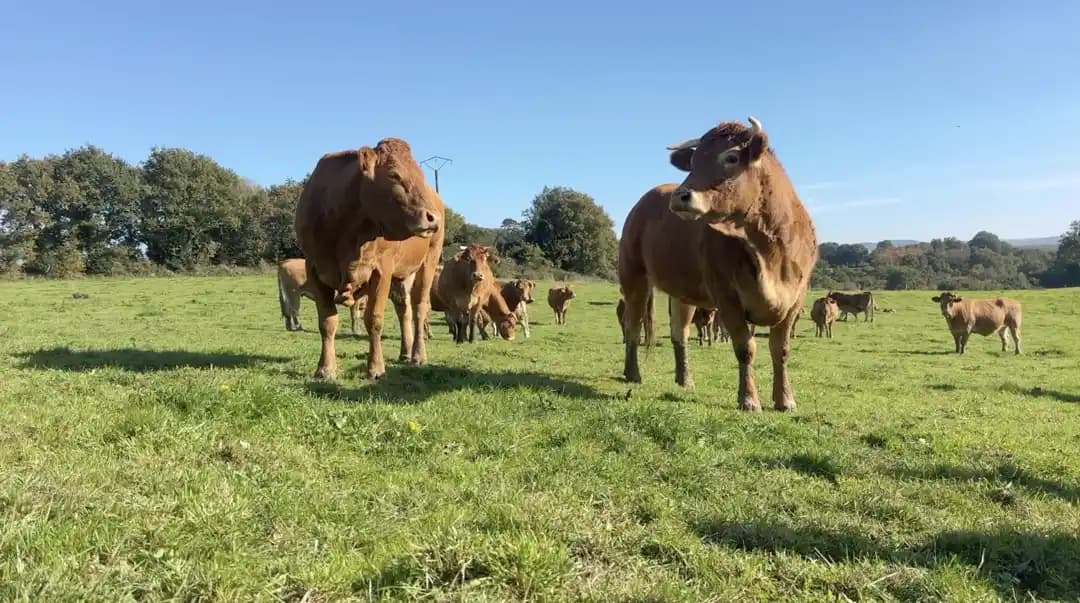 « On ne joue pas avec la nourriture » : les dangers du libre-échange pour l’agriculture et la santé