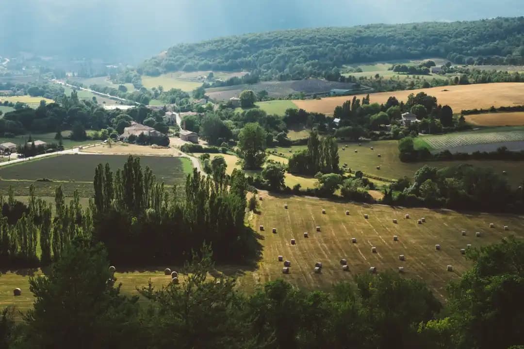 Le rôle des haies dans la biodiversité : un pilier de l’agriculture durable