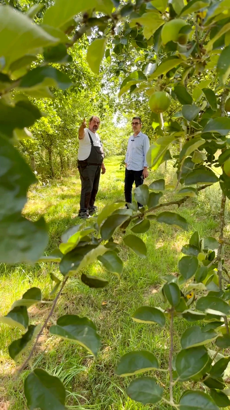 Cyrille Filleul, producteur de cidre fermier et de lapins, Vieux-Viel, Île-et-Vilaine (35)